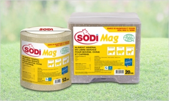 sodimag