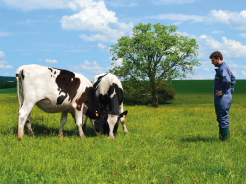 temoignages agriculteurs