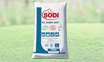 sel gemme ecocert sel gemme ecocert