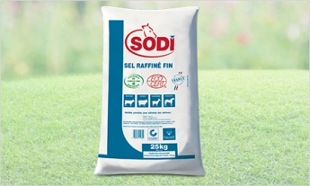 sel raffiné ecocert sel raffiné ecocert