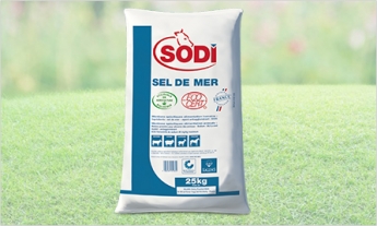 sel de mer ECOCERT sel de mer ECOCERT