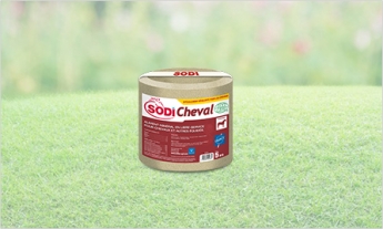 SodiCheval SodiCheval