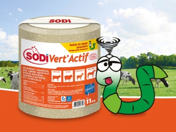 actu sodiveractif