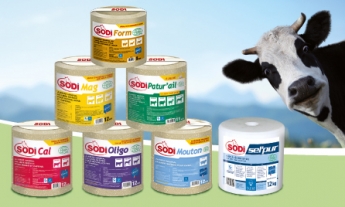 groupe-salins groupe-salins