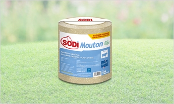 SodiMouton SodiMouton