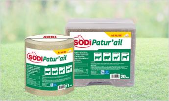 SodiPatur'ail