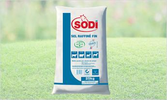 sel fin raffiné