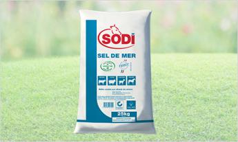 sel de mer