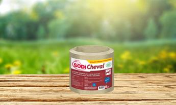 SodiCheval