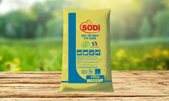 Sel raffiné fin iodé