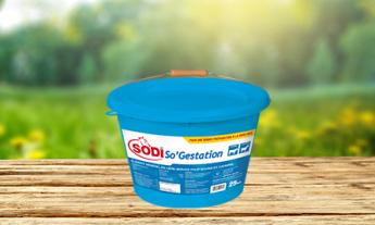 SodiSo'Gestation