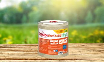SODI VERT ACTIF