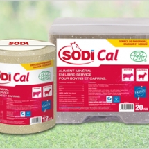 sodical