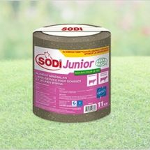 SodiJunior