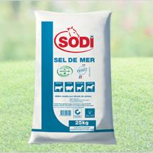 sel de mer