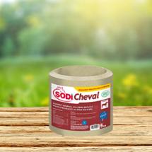 SodiCheval