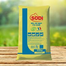 Sel raffiné fin iodé