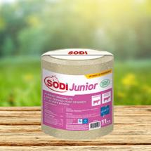 sodiJunior