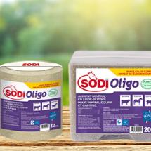 SODI OLIGO
