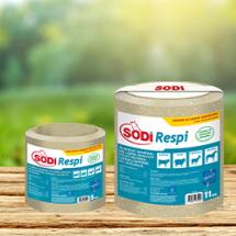 SodiRespi Bloc à lécher pour problème respiratoire bovin