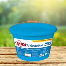SodiSo'Gestation