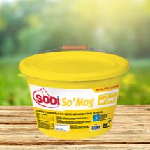 SodiSo'Mag