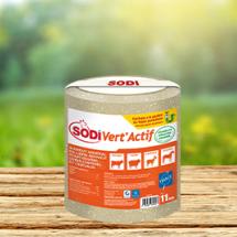 SODI VERT ACTIF