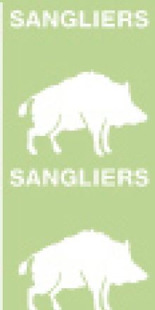 pictos sangliers
