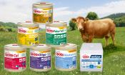 le groupe salins